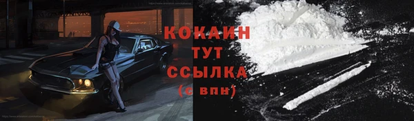 круглые Аркадак