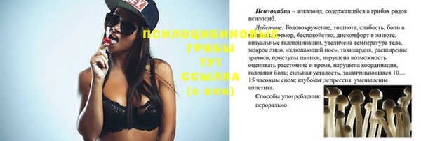круглые Аркадак