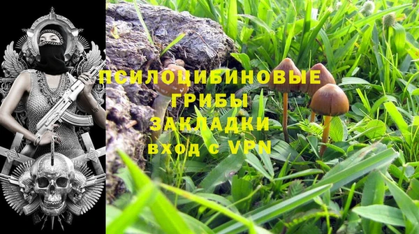 круглые Аркадак