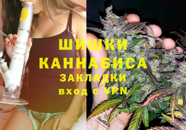 ешки Арсеньев