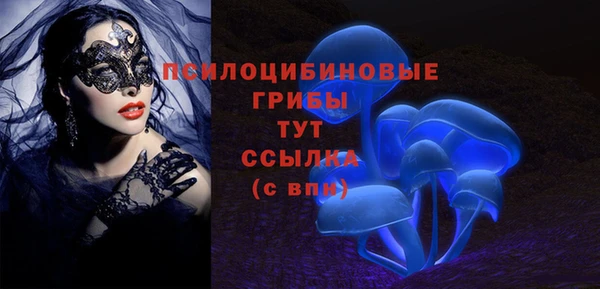 круглые Аркадак