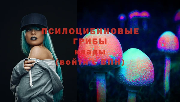 ешки Арсеньев