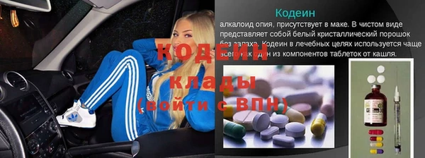 ешки Арсеньев
