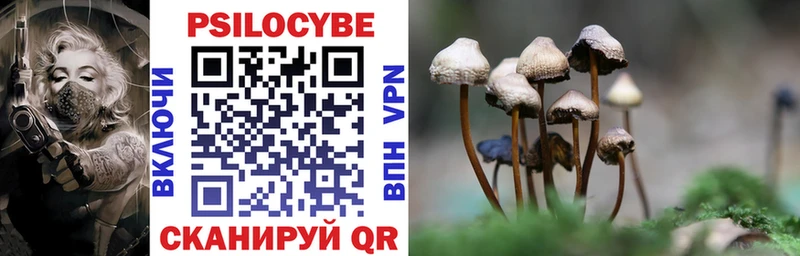hydra ССЫЛКА  Пустошка  Псилоцибиновые грибы MAGIC MUSHROOMS 